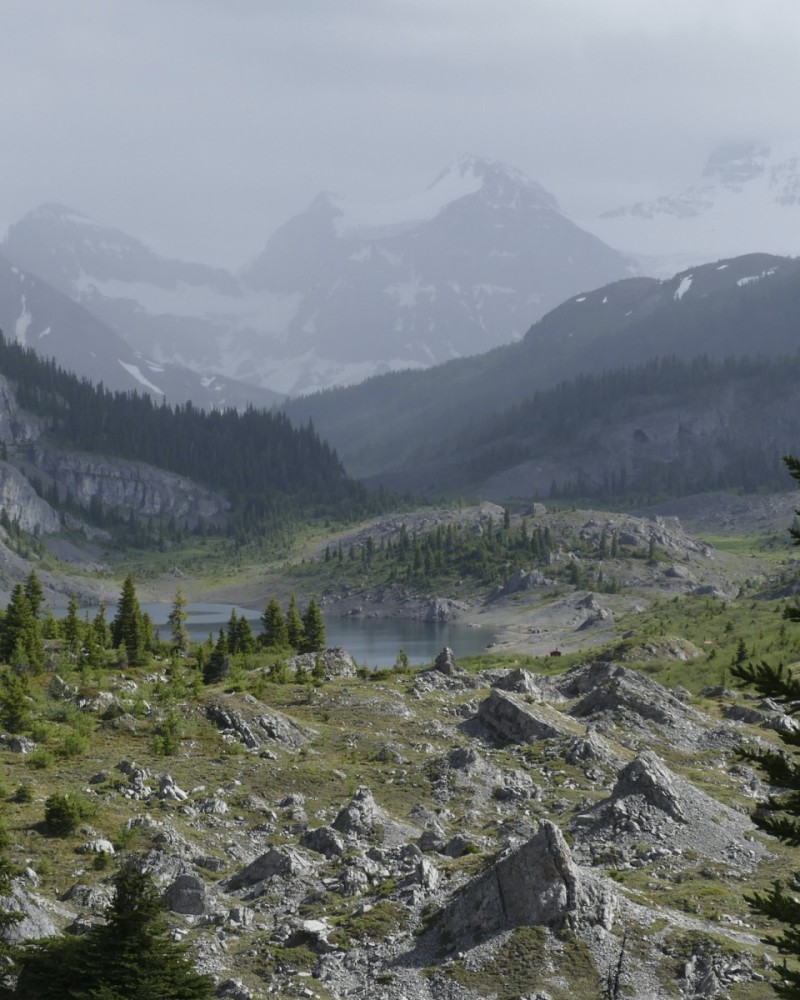 Og Meadows and Mount Assiniboine